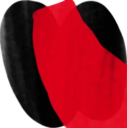 Immagine sconosciuta